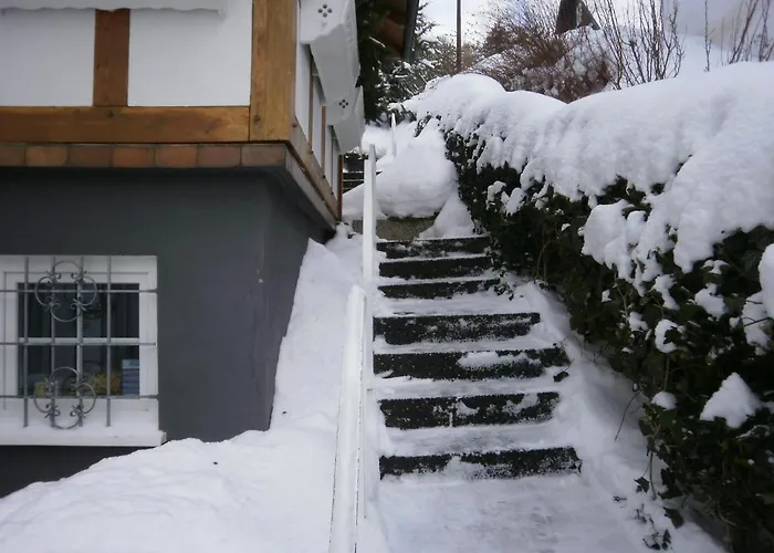 Linn Ferienhaus Winterberg